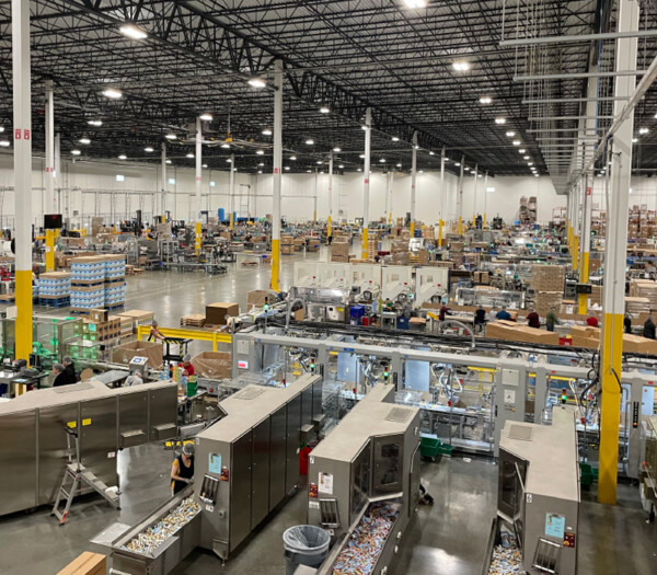 Tailored Packaging Solutions - Bolke Miller